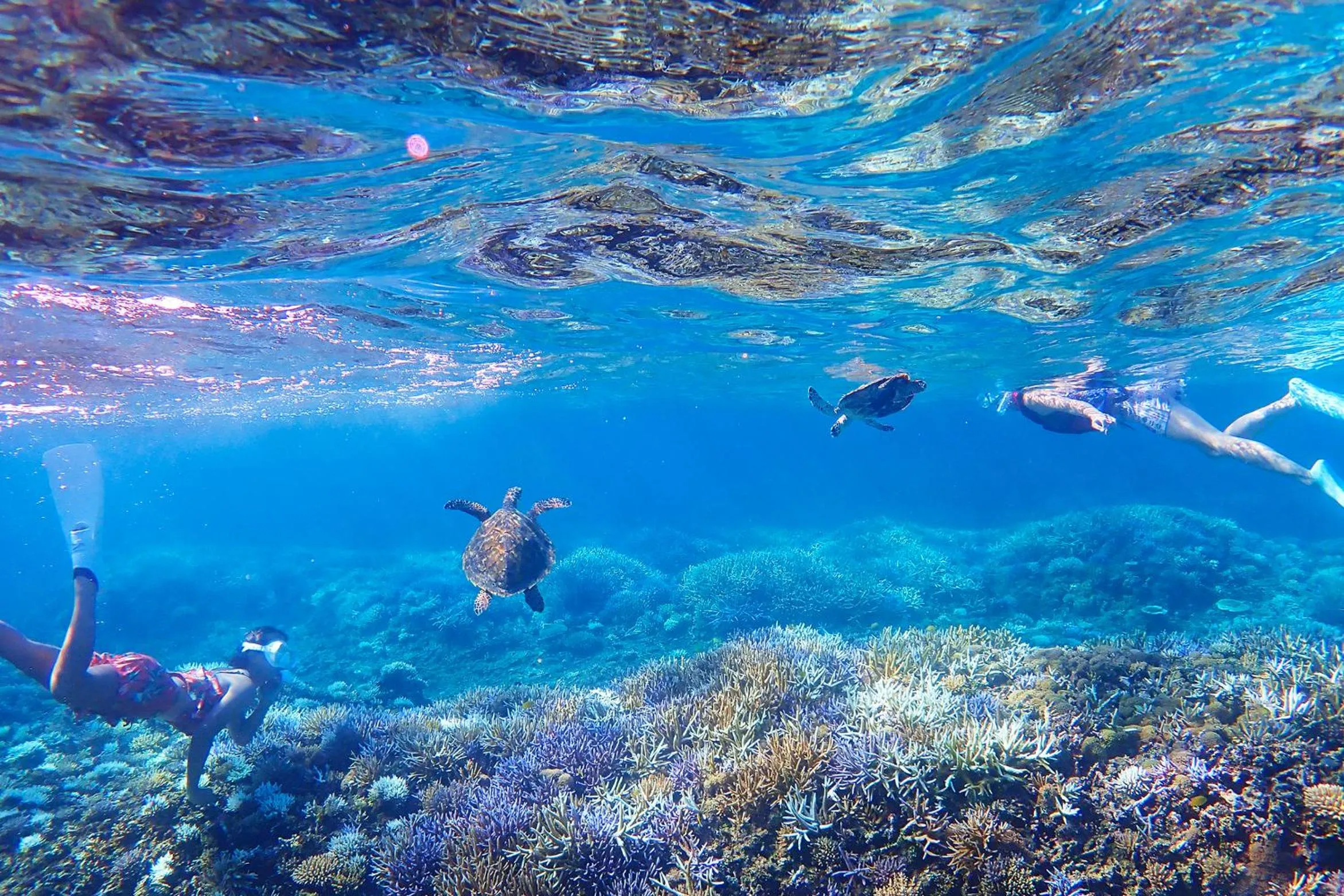 Iriomote Hotel by Hoshino Resorts