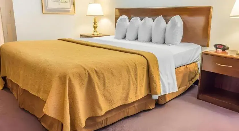 Bed in Quality Inn Royle Bed in Quality Inn Royle