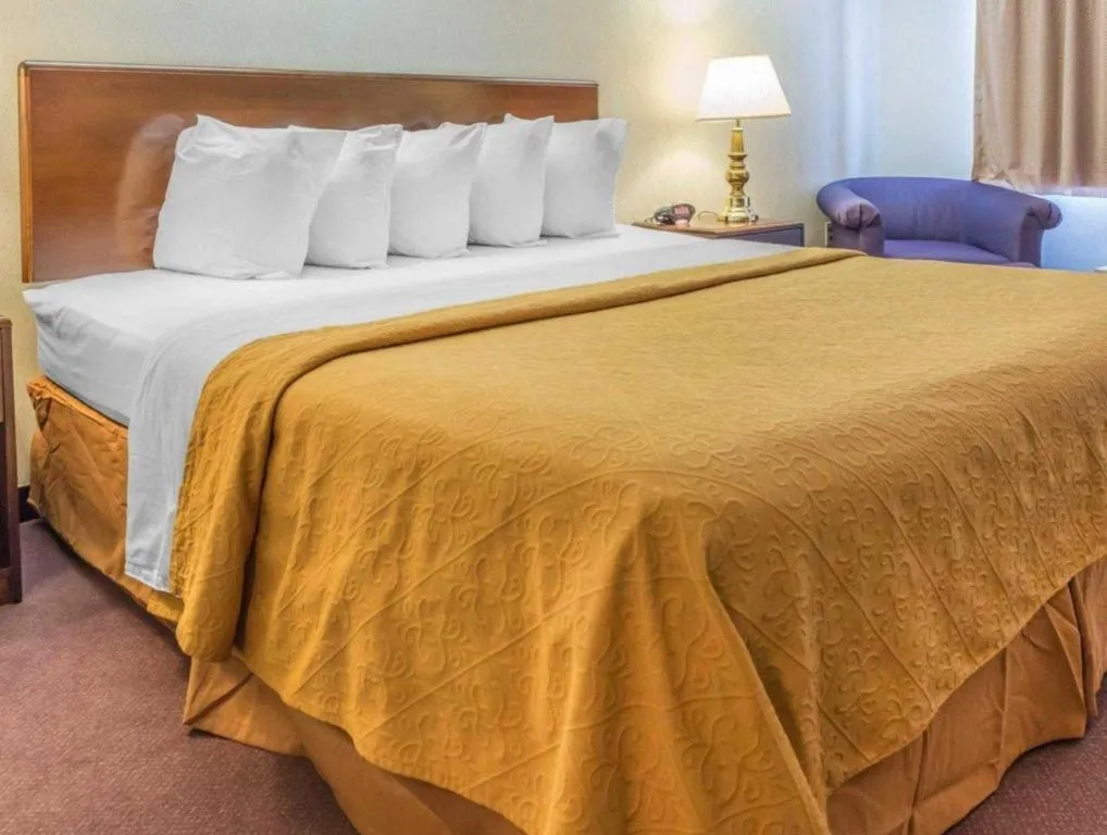 Bed in Quality Inn Royle