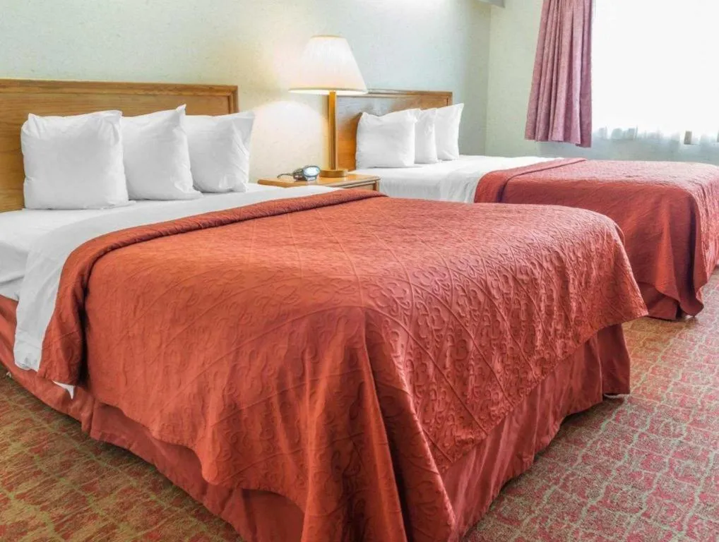 Bed in Quality Inn Royle