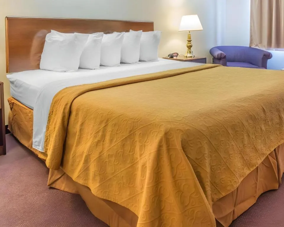Bed in Quality Inn Royle