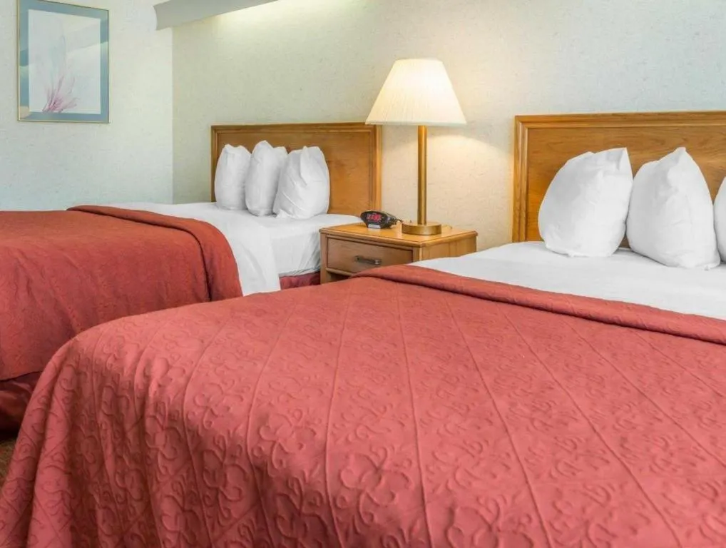 Bed in Quality Inn Royle