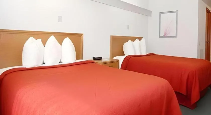 Bed in Quality Inn Royle