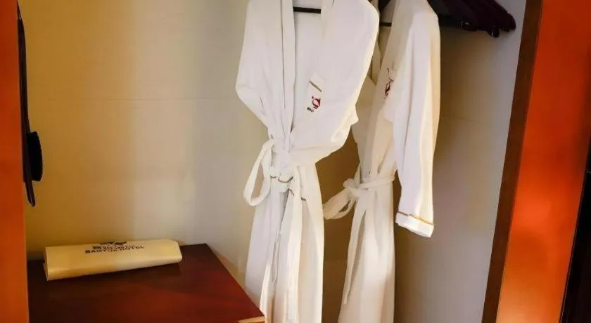 Shenzhen Bao Yue Hotel