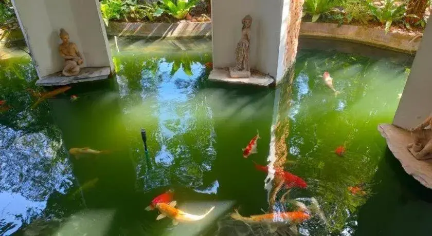 khaoyai lumtakong hotel khaoyai lumtakong hotel