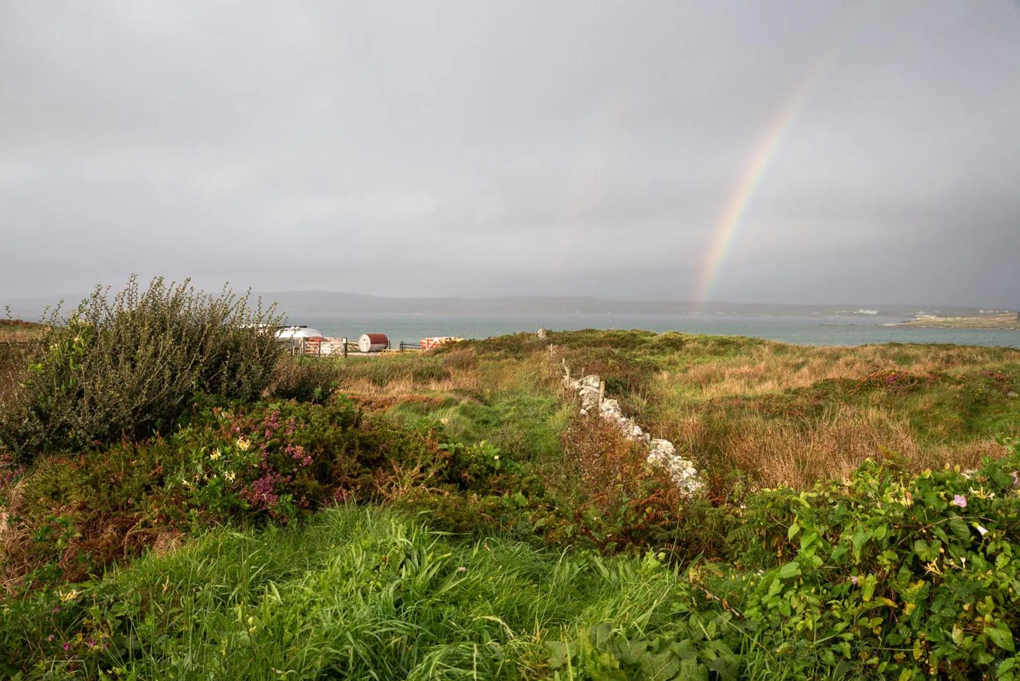 Garden view in Connemara Sands Hotel & Spa