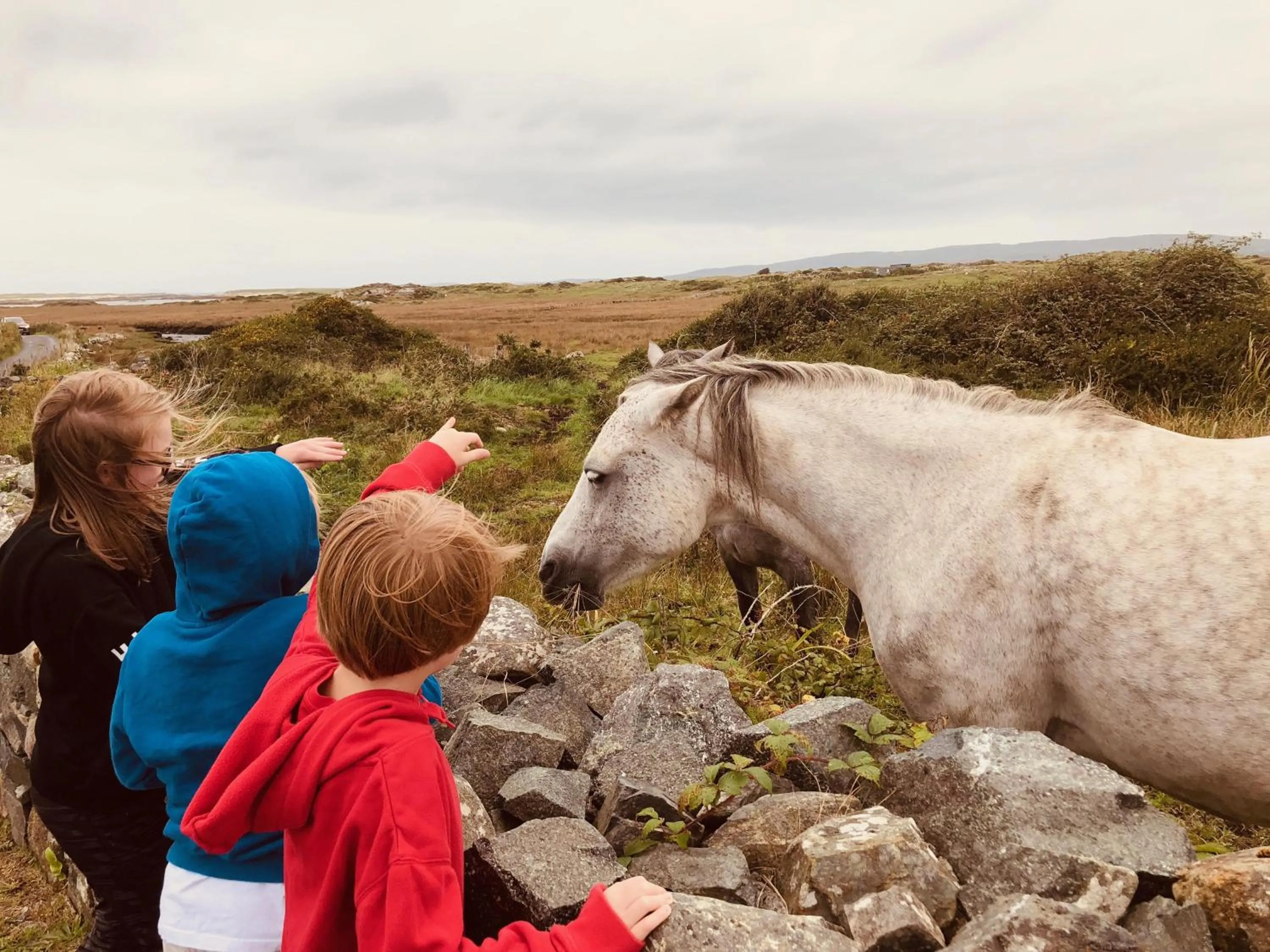 Horse-riding in Connemara Sands Hotel & Spa