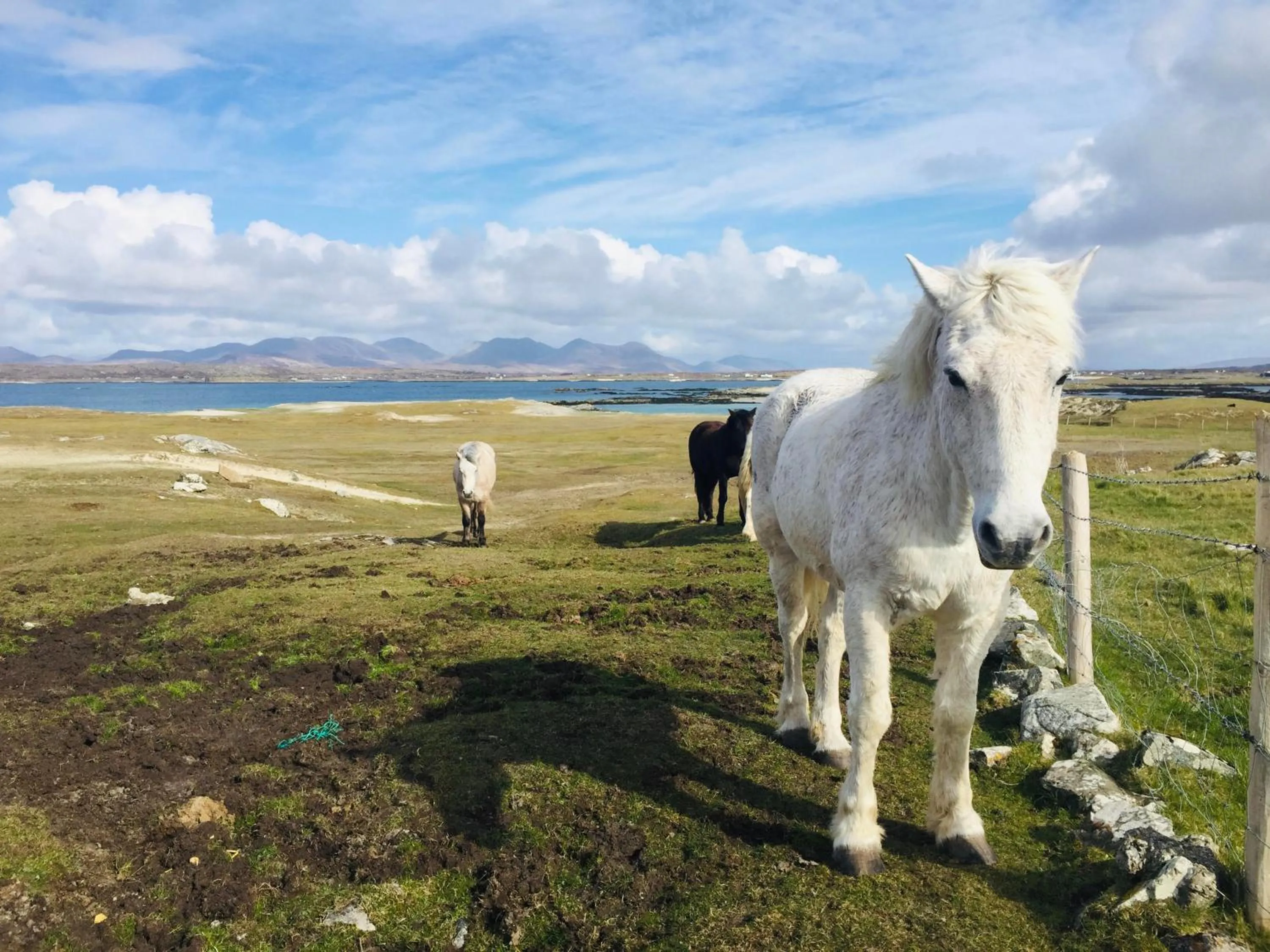 Horse-riding in Connemara Sands Hotel & Spa