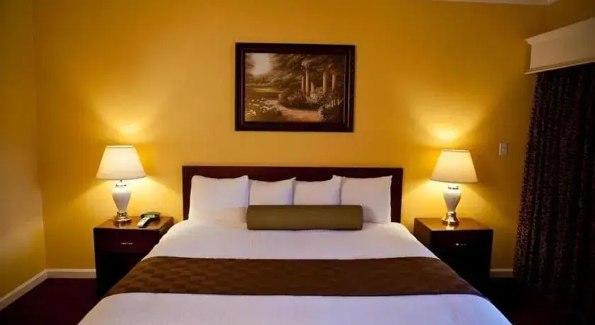 Bed in Hotel Saddleback Bed in Hotel Saddleback