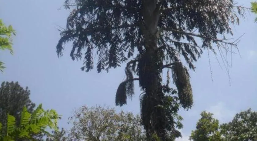 Mahaweli Regent Hotel