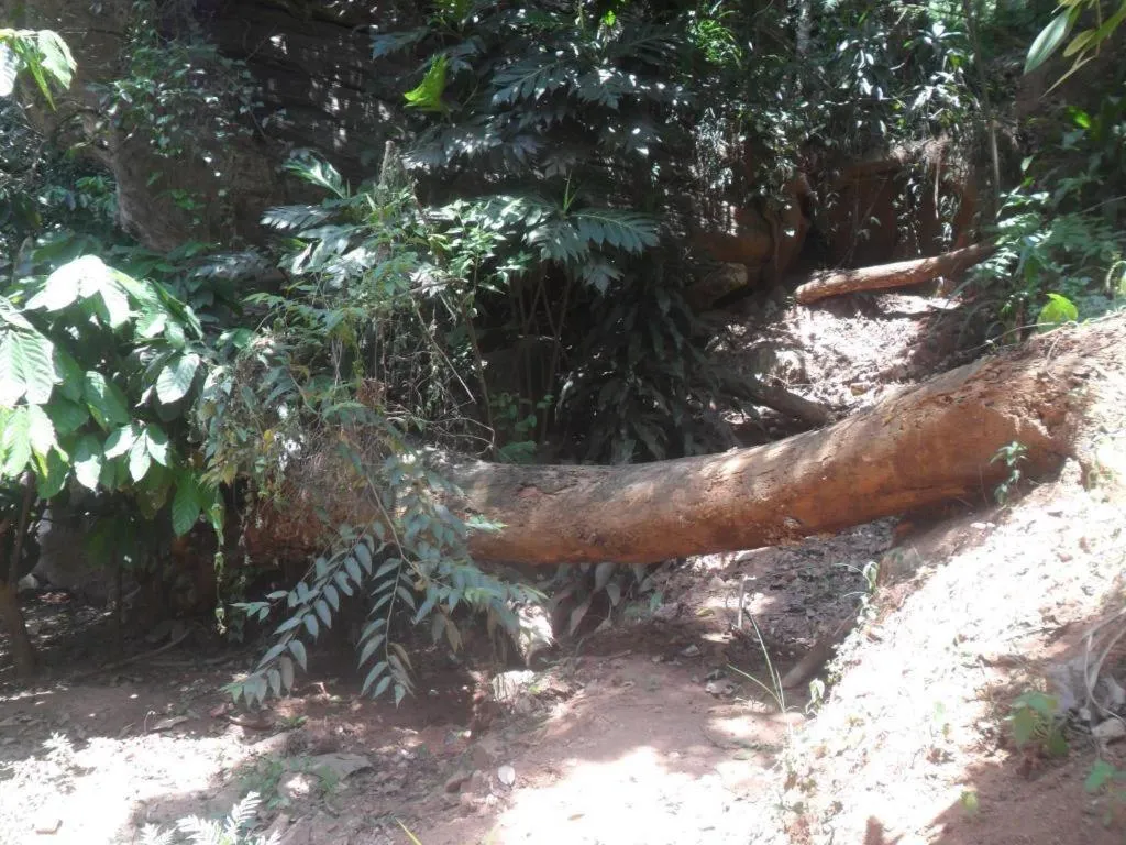 Mahaweli Regent Hotel