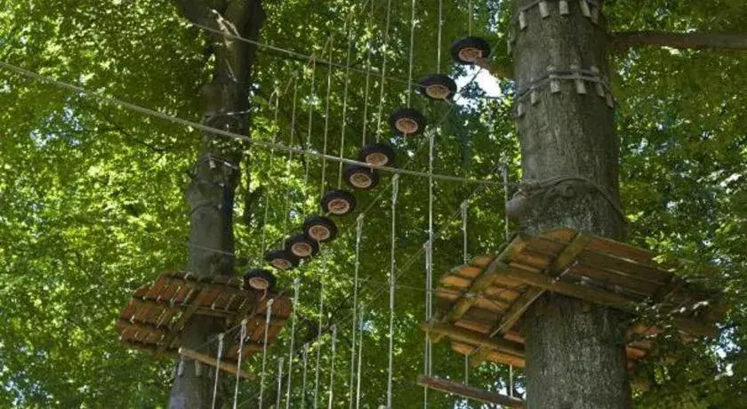 Cindy Kelly Hotel Cindy Kelly Hotel