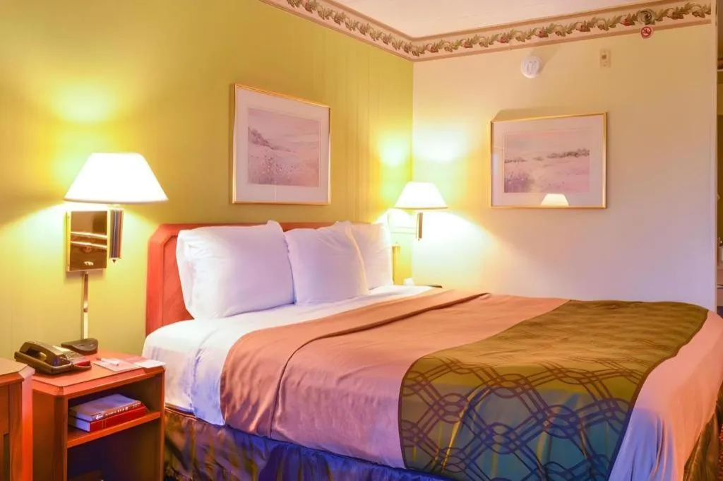 Bed in Econo Lodge Willowbrook