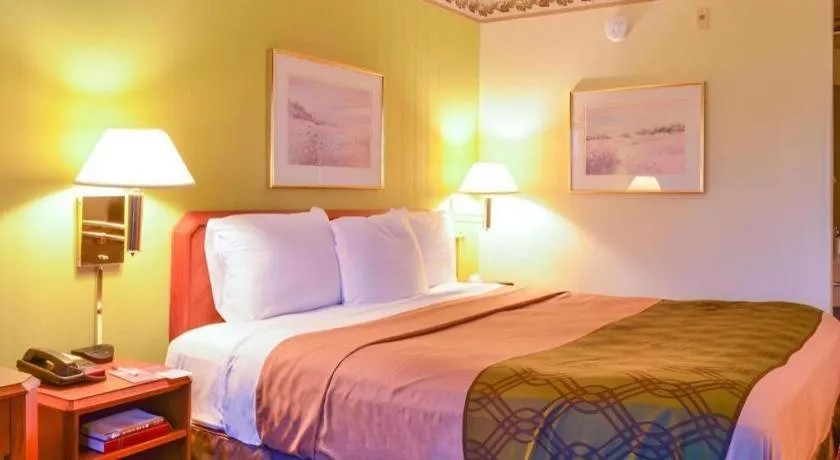 Bed in Econo Lodge Willowbrook
