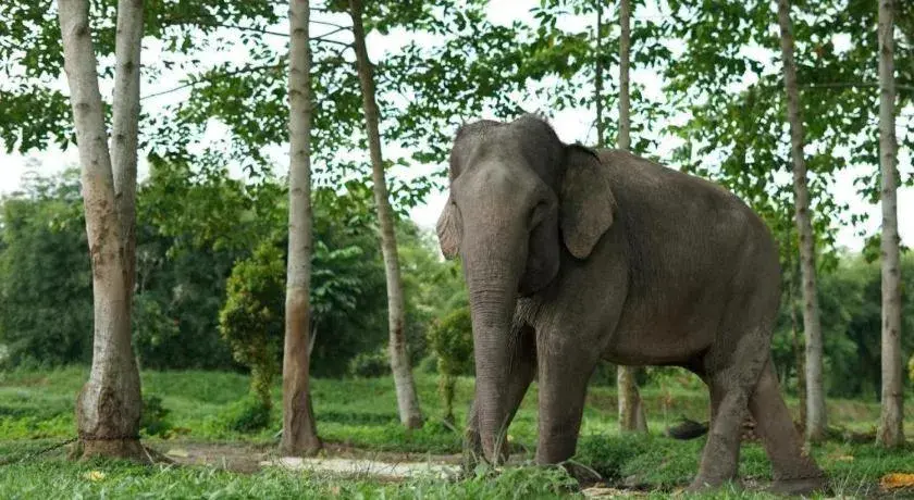 Ayola First Point Hotel Pekanbaru Ayola First Point Hotel Pekanbaru