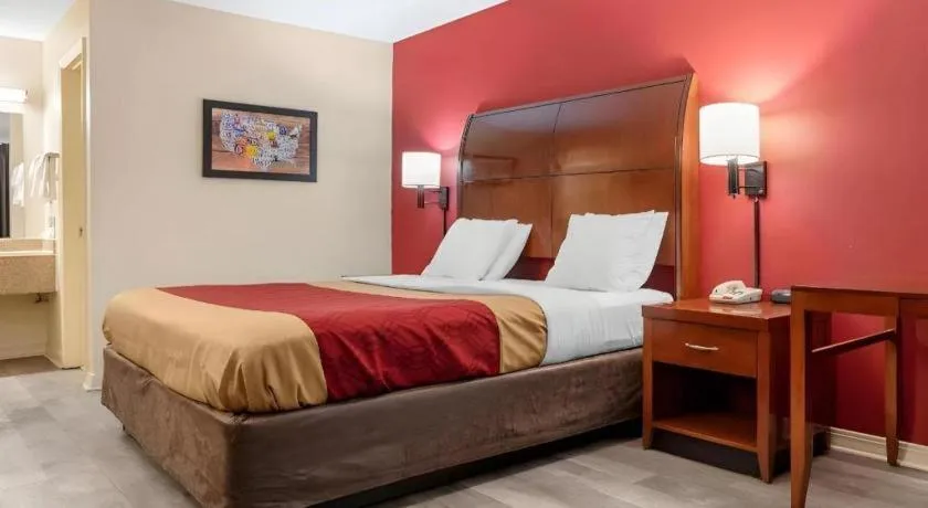 Bed in Econo Lodge Pearl - Jackson