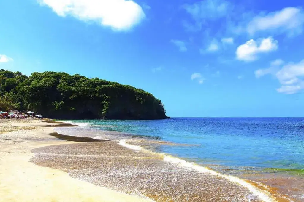 Sanur Ayu Hotel Sanur Ayu Hotel