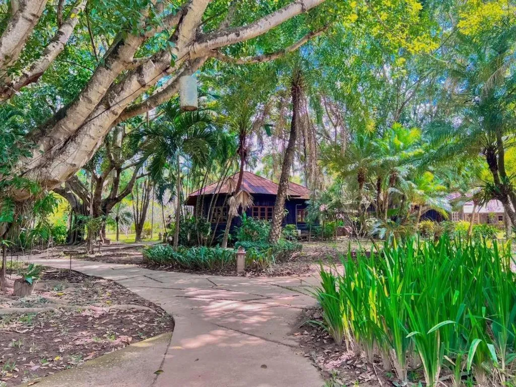 Pai Hotsprings Spa Resort