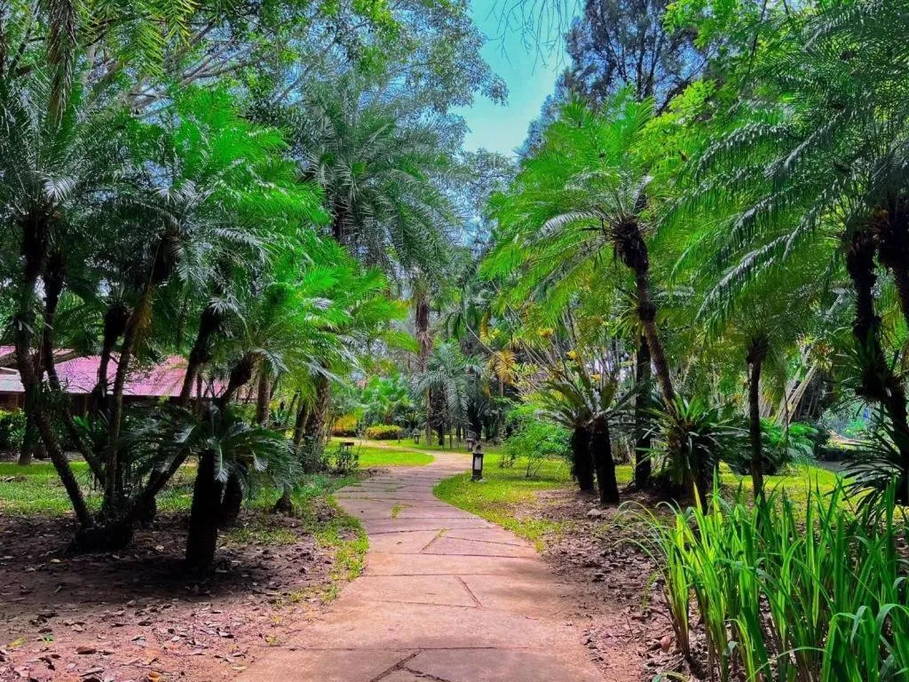 Pai Hotsprings Spa Resort