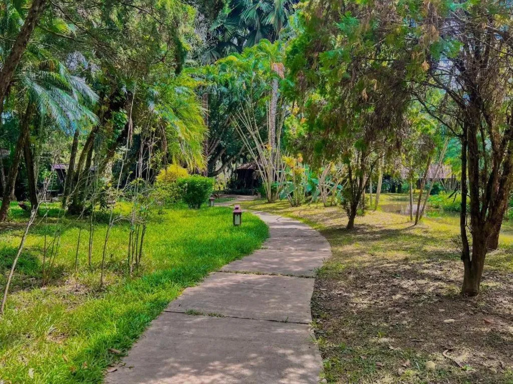 Pai Hotsprings Spa Resort