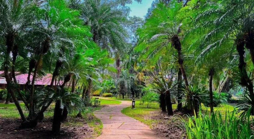 Pai Hotsprings Spa Resort