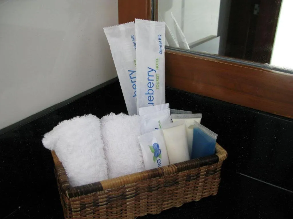 Blueberry Tourist Hotel