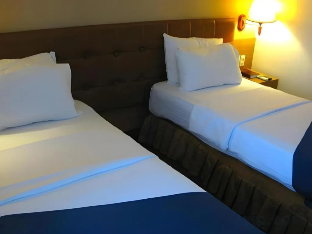 Bed in Blueberry Tourist Hotel