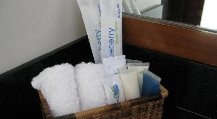 Blueberry Tourist Hotel