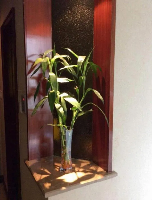 Jinrong International Hotel