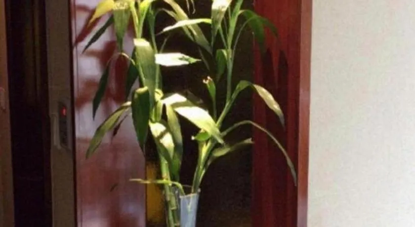 Jinrong International Hotel