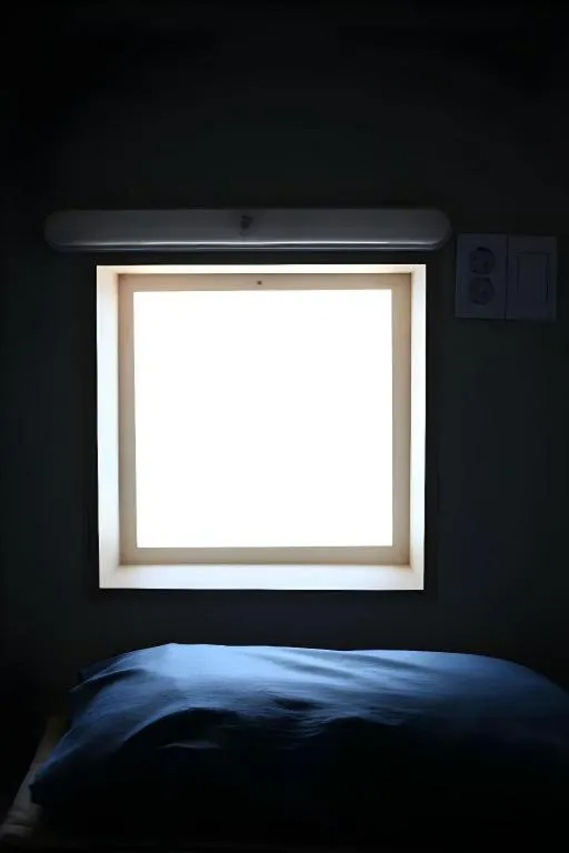 Bed in Capsule Inn Gangneung