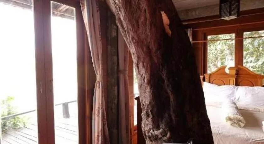 P&P Coffee & Resort Maesariang