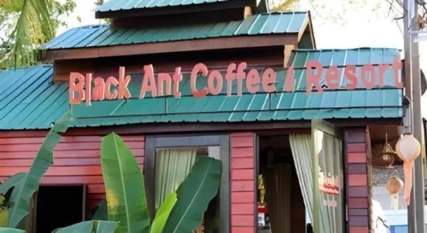 P&P Coffee & Resort Maesariang