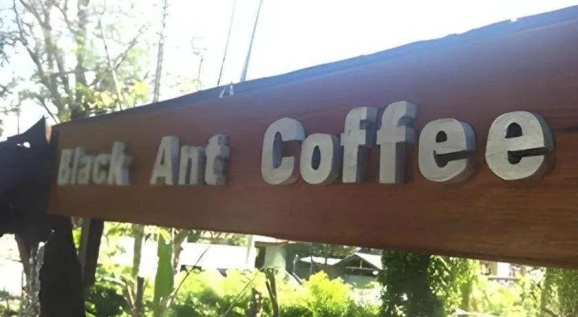 P&P Coffee & Resort Maesariang