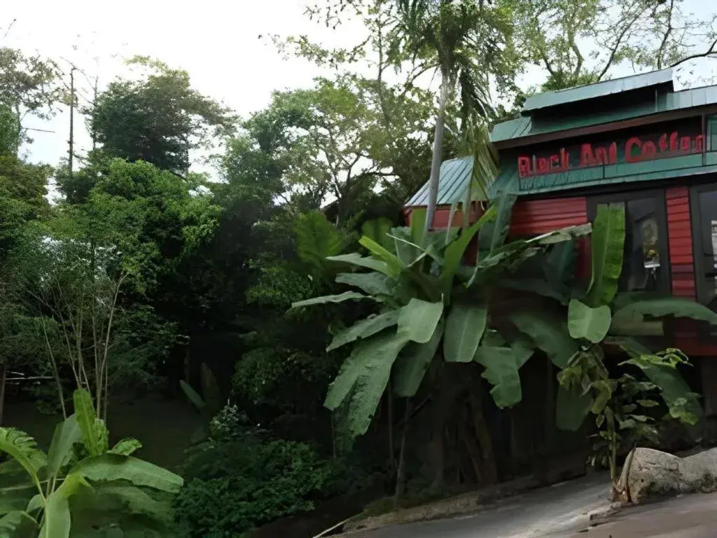 P&P Coffee & Resort Maesariang P&P Coffee & Resort Maesariang