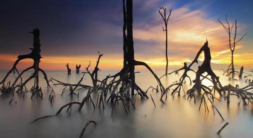 The Street Hostel Koh Lipe