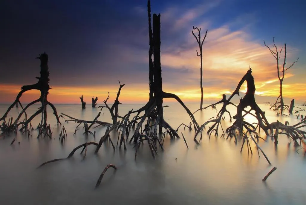 The Street Hostel Koh Lipe
