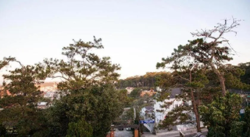 Hoa Sen Vang Hotel Dalat