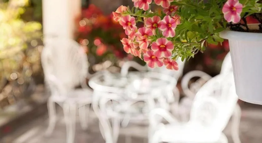 Hoa Sen Vang Hotel Dalat