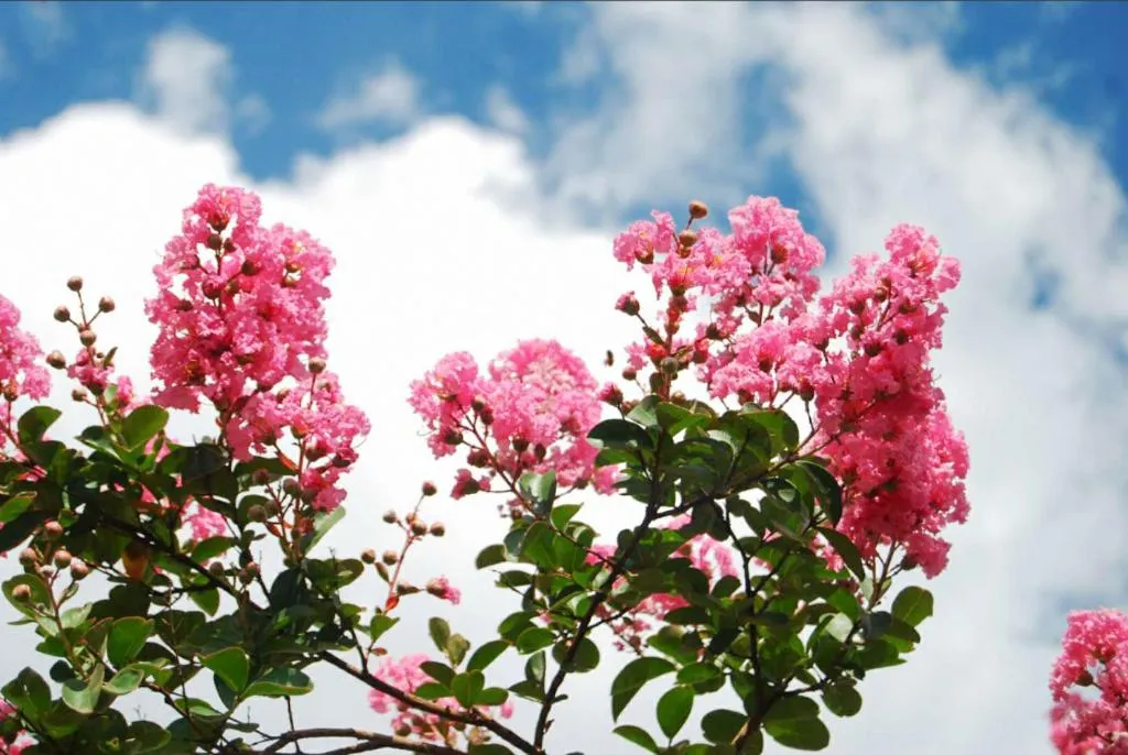 PARK INN KUNMING AIRPORT