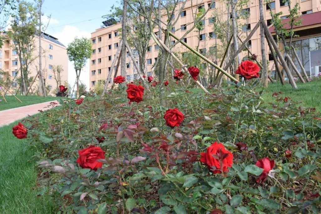 PARK INN KUNMING AIRPORT