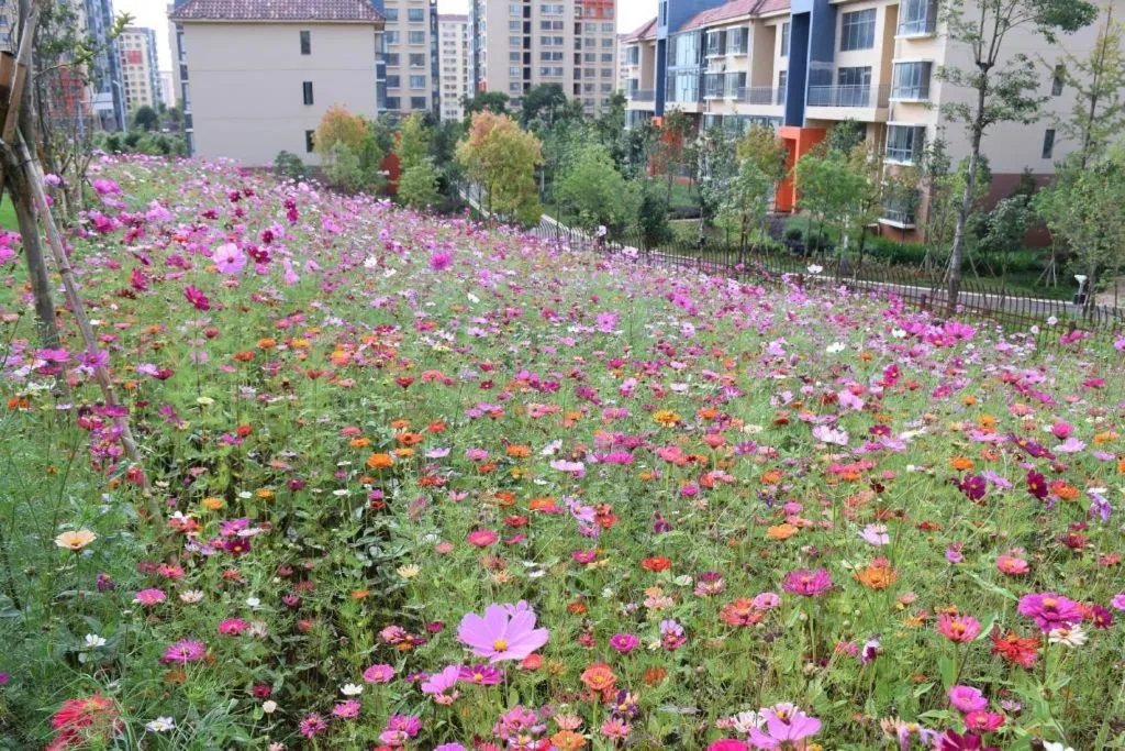 PARK INN KUNMING AIRPORT