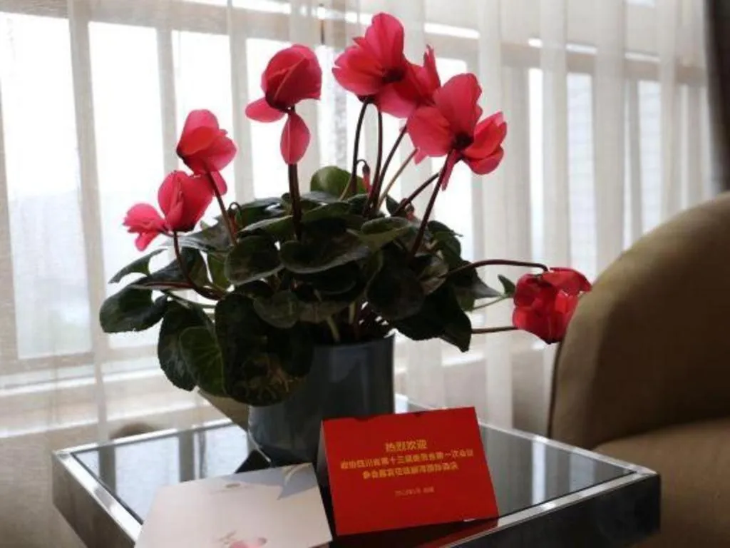 Liwan International Hotel Chengdu