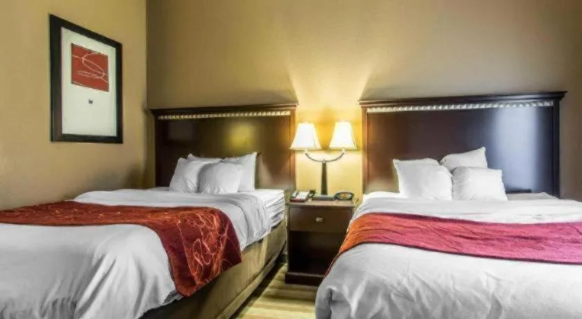Bed in Comfort Suites