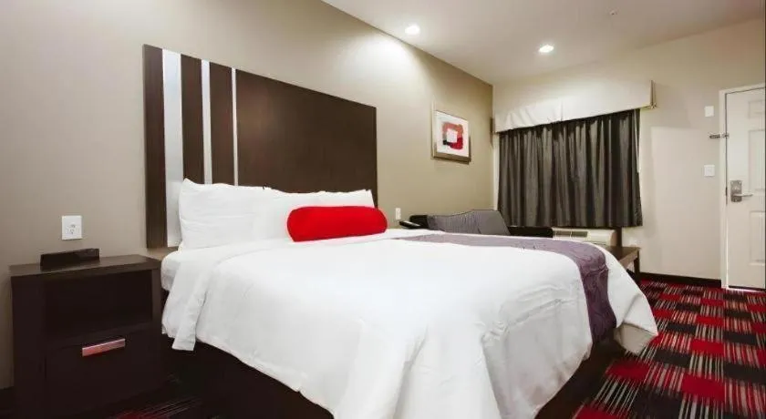 Bed in Americas Best Value Inn and Suites IAH Airport North