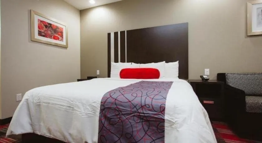 Bed in Americas Best Value Inn and Suites IAH Airport North