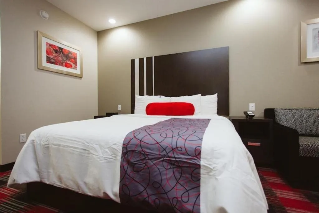 Bed in Americas Best Value Inn and Suites IAH Airport North