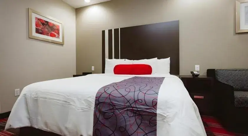 Bed in Americas Best Value Inn and Suites IAH Airport North Bed in Americas Best Value Inn and Suites IAH Airport North