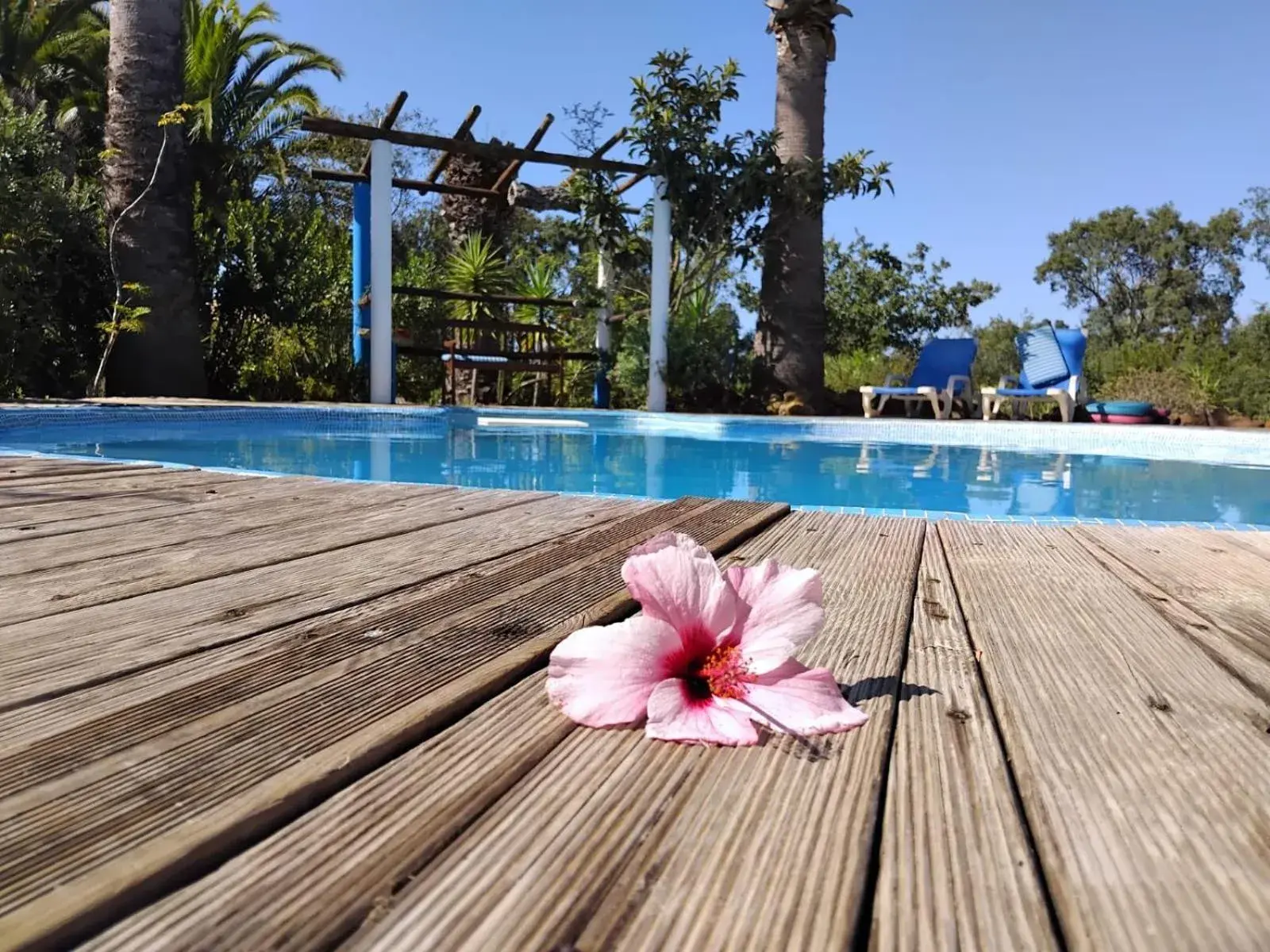 Quinta do Paraiso Quinta do Paraiso