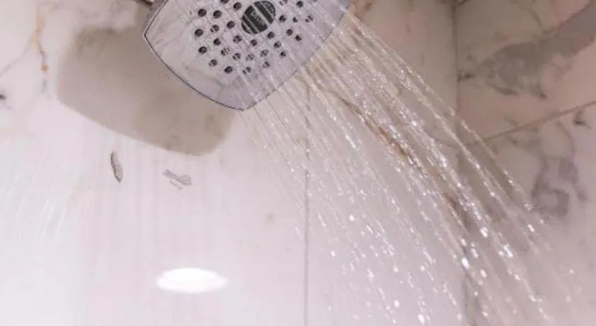 Par-A-Dice Hotel Casino